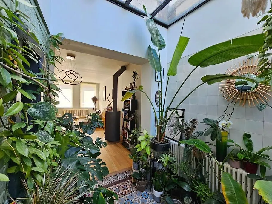 Maison De Caractere 8 Pers - Jardin - Lambersart Villa